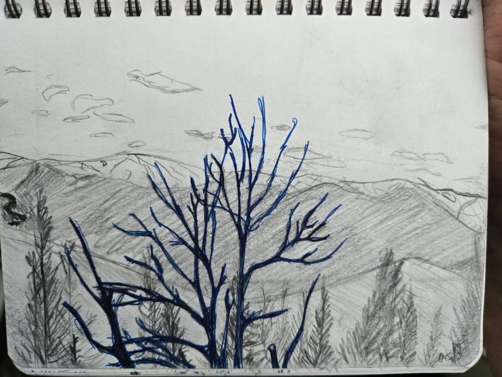 A sketch, done in pencil and blue ballpoint pen in a hand-sized journal, of an expansive mountain valley as seen from one of the peaks overlooking it.