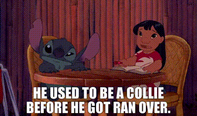 A scene from the movie "Lilo and Stitch" (animated). Caption: "He used to be a Collie before he got ran over."