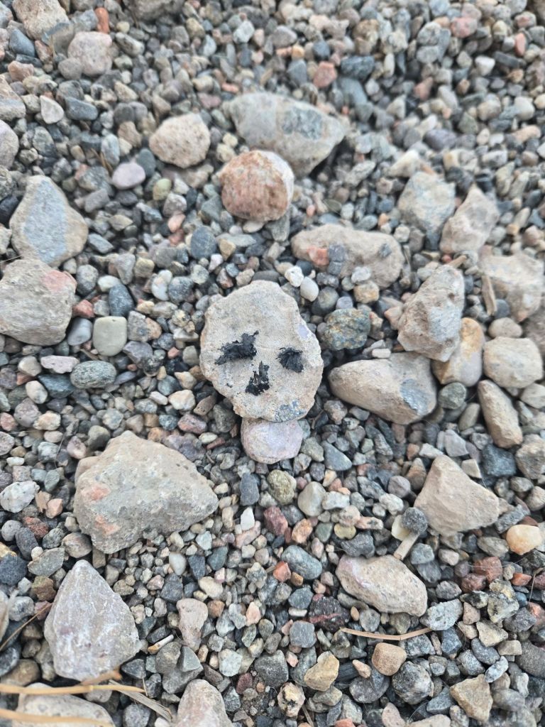 A small rock in a gravel lot, with black marks and a second, smaller rock below it that give it a striking resemblance to a skull.